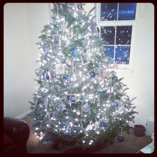 My tree!