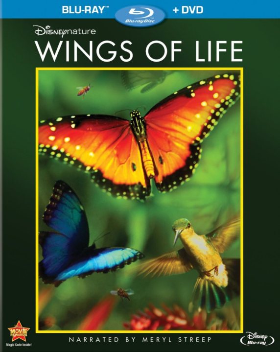 wings of life2