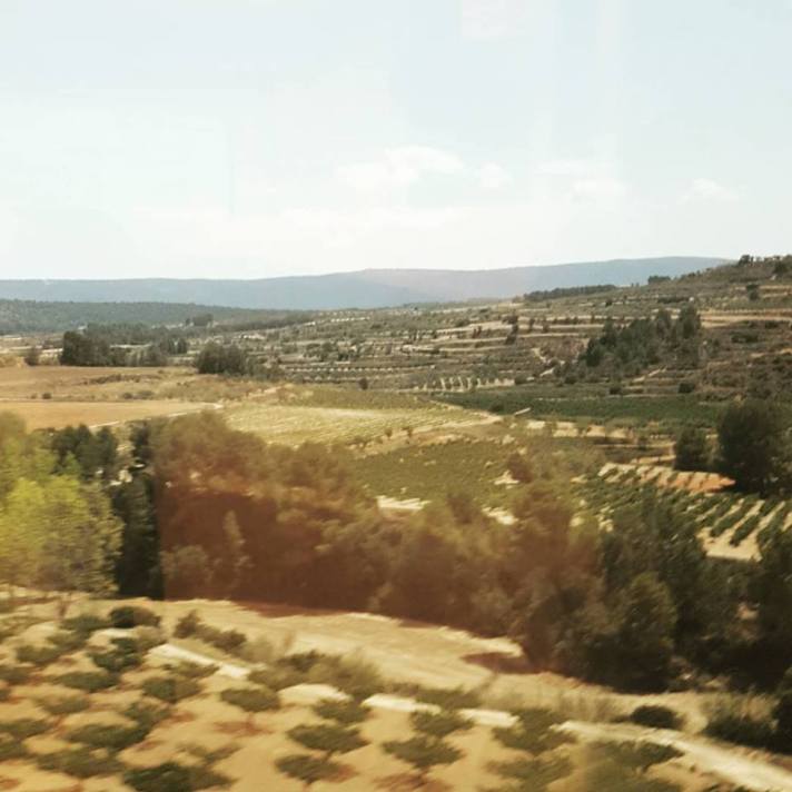 spain view from train